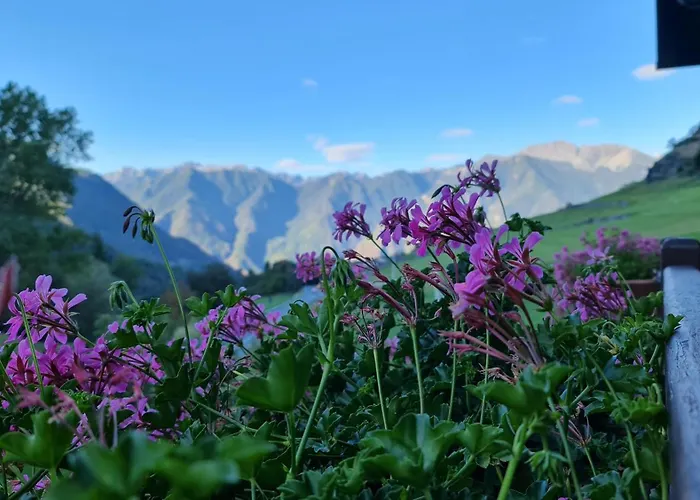 Casa de hóspedes Casa Margherita D'hôtes&spa 3*